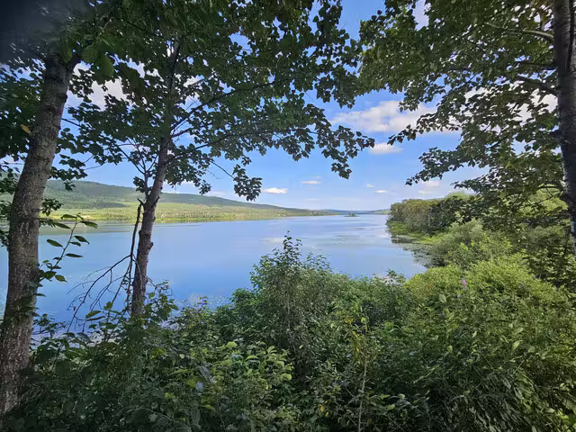Mini belvédère&nbsp;&nbsp;&nbsp;&copy; Marilyn Dumais