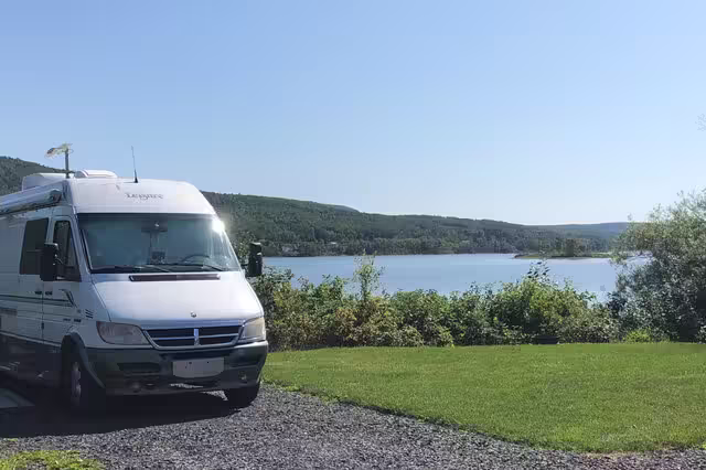 Emplacement VR et vue sur le lac&nbsp;&nbsp;&nbsp;&copy; Municipalité de Lac-au-Saumon
