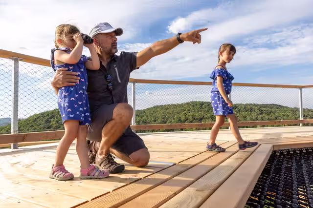 Treetop Walk Laurentides