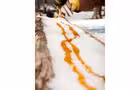 Tire sur neige