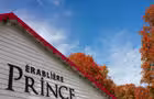 La cabane à sucre