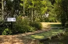 Mini-golf