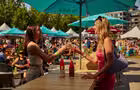 Soif de cidre Montréal&nbsp;&nbsp;&nbsp;&copy; Soif de cidre Montréal
