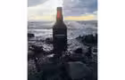 Double IPA (DIPA)&nbsp;&nbsp;&nbsp;&copy; Brasserie artisanale Le Bien le Malt