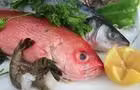 Poisson
