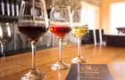 Vins&nbsp;&nbsp;&nbsp;&copy; G.DiMinno