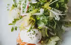 Tartine de gravlax&nbsp;&nbsp;&nbsp;&copy; C.Tellier