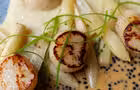 Pincette - Bar à homard (pétoncles)&nbsp;&nbsp;&nbsp;&copy; pincette
