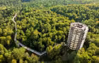 Treetop Walk Laurentides