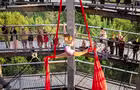 Treetop Walk Laurentides