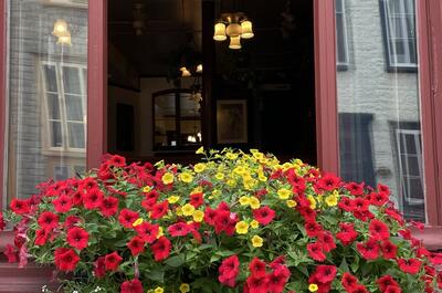 Le Petit Café Latin