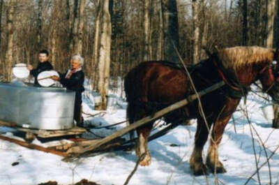 Cabane à sucre chez Aurélien Lessard