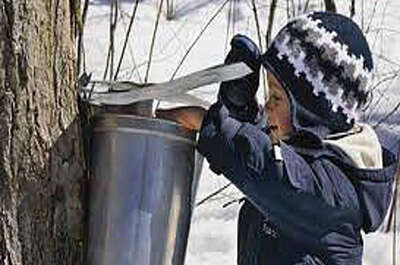 Ô Sucre Cabane et réception champêtre