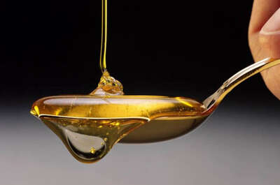 Sucrerie de la Montagne