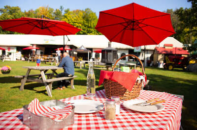 Mirabel fête l’érable du Québec