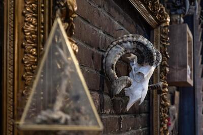 Chez Ernest – Comptoir de curiosité