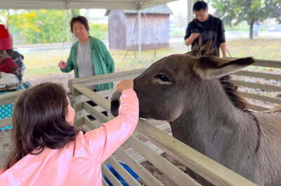 La fête des récoltes du Musée
