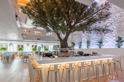 Pangea Restaurant Et Bar