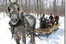 Randonnée en traineau à cheval