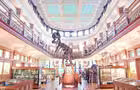 Galerie d'histoire naturelle&nbsp;&nbsp;&nbsp;&copy; Musée Redpath, Université McGill