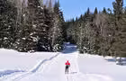 Ski de fond
