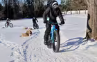 Fatbike