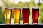 Bières de la microbrasserie Le Moulin 7&nbsp;&nbsp;&nbsp;&copy; Le P'tit Bonheur de Saint-Camille