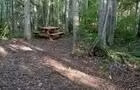 Site du Sous-Bois © Bateleur