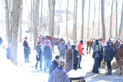 Cabane à sucre D&rsquo;Amours