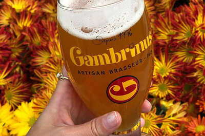 Gambrinus