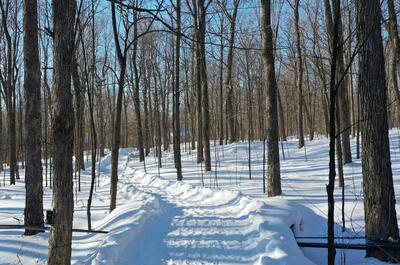 Érablière Mont-Rouge
