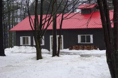 L&rsquo;Érable rouge