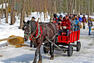 Balades en carriole&nbsp;&nbsp;&nbsp;&copy; Au Chalet en Bois Rond