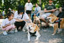 La Semaine Japon - Rassemblement de shibas et d'akitas&nbsp;&nbsp;&nbsp;&copy; Yasuko Tadokoro